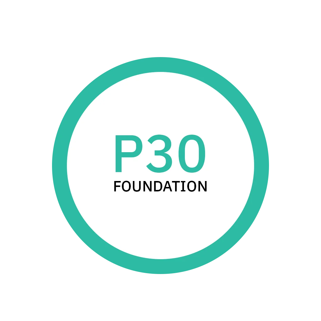 P3 Offices Full Package (one month)